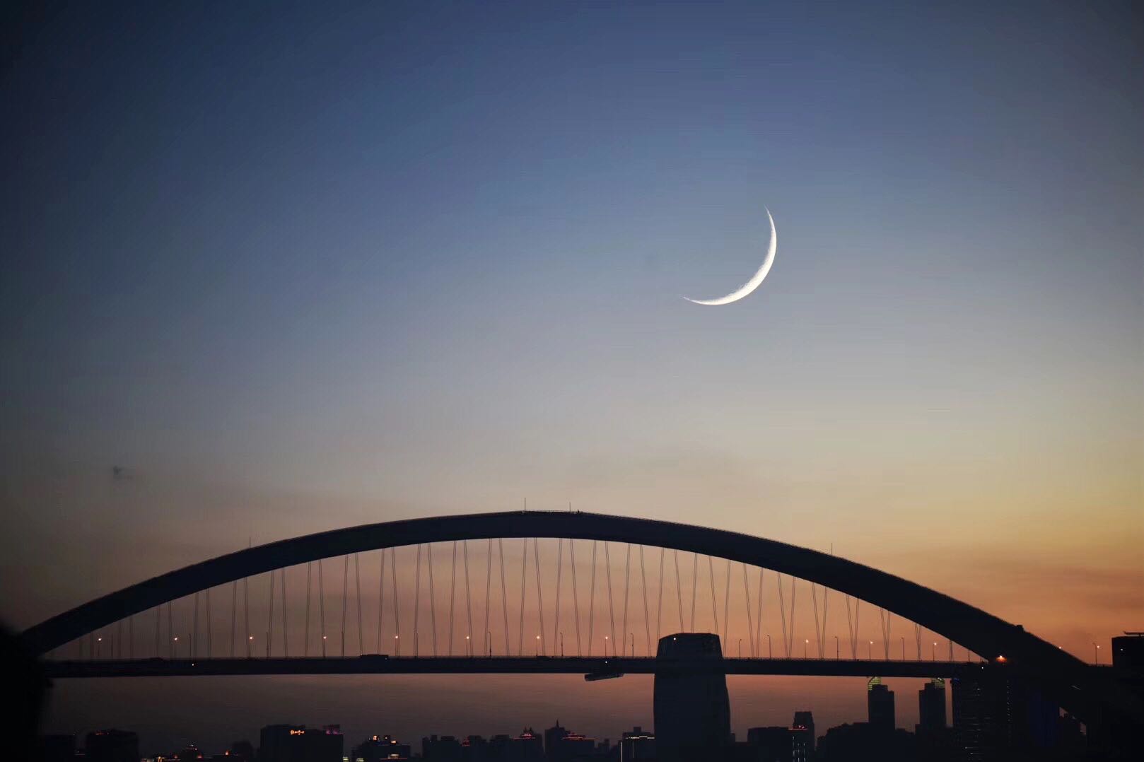 2020年11月308